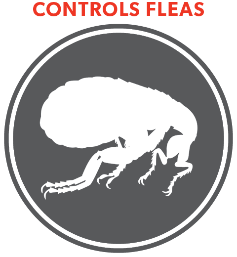 REALLY SERIOUS! PRO<sup>®</sup> INSECTICIDAL DUST