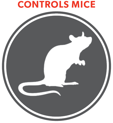 REALLY SERIOUS! PRO<sup>®</sup> VERMAX DUAL ACTIVE RODENTICIDE